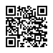 QR Code (код быстрого отклика)