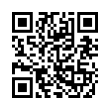 QR Code (код быстрого отклика)