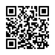 QR Code (код быстрого отклика)