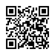 QR Code (код быстрого отклика)