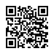 QR Code (код быстрого отклика)
