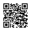 QR Code (код быстрого отклика)