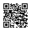 QR Code (код быстрого отклика)