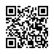 QR Code (код быстрого отклика)