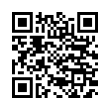 QR Code (код быстрого отклика)