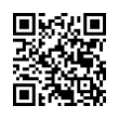 QR Code (код быстрого отклика)