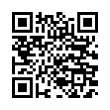 QR Code (код быстрого отклика)