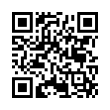 QR Code (код быстрого отклика)