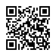 QR Code (код быстрого отклика)