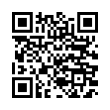 QR Code (код быстрого отклика)