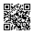 QR Code (код быстрого отклика)