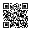 QR Code (код быстрого отклика)