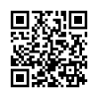 QR Code (код быстрого отклика)