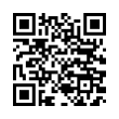 QR Code (код быстрого отклика)