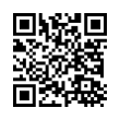 QR Code (код быстрого отклика)