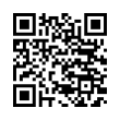 QR Code (код быстрого отклика)