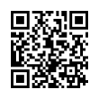 QR Code (код быстрого отклика)