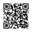 QR Code (код быстрого отклика)