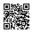 QR Code (код быстрого отклика)