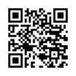 QR Code (код быстрого отклика)