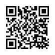 QR Code (код быстрого отклика)