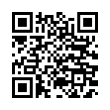 QR Code (код быстрого отклика)