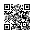 QR Code (код быстрого отклика)