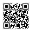 QR Code (код быстрого отклика)