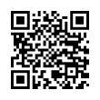 QR Code (код быстрого отклика)