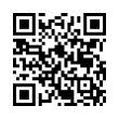 QR Code (код быстрого отклика)