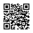 QR Code (код быстрого отклика)