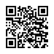 QR Code (код быстрого отклика)