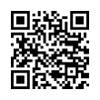 QR Code (код быстрого отклика)