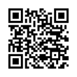 QR Code (код быстрого отклика)