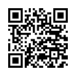 QR Code (код быстрого отклика)