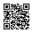 QR Code (код быстрого отклика)