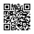 QR Code (код быстрого отклика)