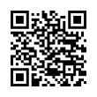QR Code (код быстрого отклика)