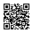 QR Code (код быстрого отклика)