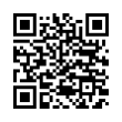 QR Code (код быстрого отклика)