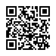 QR Code (код быстрого отклика)